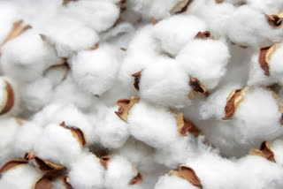 rs20 Crores fraud in the name of cotton wicks manufacturing in Boduppal