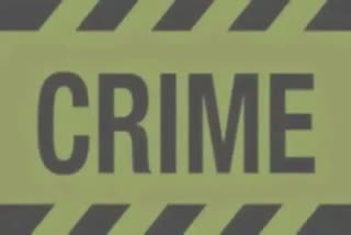 Robbery Case in Vadodara : ઘર આગણે લૂંટફાટ મચાવી બે ગઠીયા ફરાર