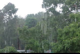 Alert regarding heavy rain and thunderstorm in MP