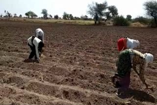 Kharif Season