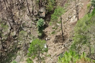 Bolero fell into a ditch in Joginder Nagar