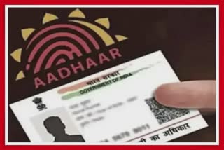 Voter Aadhar number link : 4 સપ્ટેમ્બર 2022 કેલેન્ડરમાં નોંધી લો આ તારીખ, શરુ થશે ઝૂંબેશ