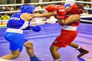 Youth National Boxing  Asian Champion vanshaj  वंशज और विश्वनाथ सुरेश  5वीं युवा पुरुष और महिला राष्ट्रीय मुक्केबाजी चैंपियनशिप  मुक्केबाजी  खेल समाचार  5th Youth Men's and Women's National Boxing Championships  Boxing  Sports News