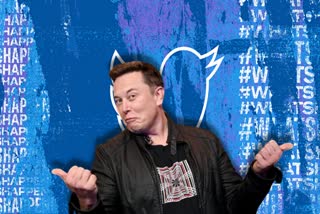 Elon Musk Twitter deal ends