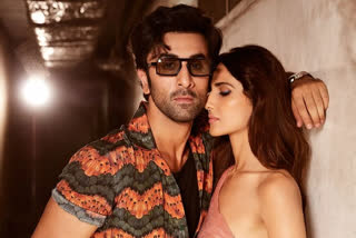 ranbir kapoor and vaani kapoor fitoor look