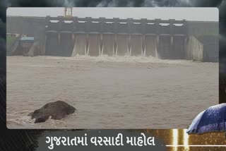 Monsoon Gujarat 2022: મધુબન ડેમમાં પાણીની આવકમાં ધરખમ વધારો, ડેમના 6 દરવાજા ખોલી પાણી છોડાયું