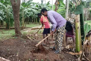 ଗାଁରେ ଯୁବକଙ୍କୁ ରୋଜଗାର ଯୋଗାଇଲେ ସାମ୍ବାଦିକ ରାଜୁ ସୁବୁଦ୍ଧି