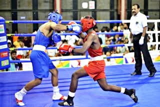 Youth National Boxing Championship  युवा राष्ट्रीय मुक्केबाजी चैम्पियनशिप  एशियाई चैंपियन विश्वनाथ सुरेश  रोहित चमोली  मुक्केबाजी चैंपियनशिप  खेल समाचार  Asian Champion Vishwanath Suresh  Rohit Chamoli  Boxing Championship  Sports News