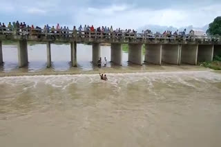 accident in kanker naini river