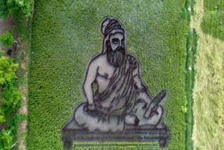 sowed paddy in the image of Tamil poet Thiruvalluvar