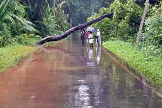 in-subrahmanya-road-has-been-blocked-due-to-heavy-rain