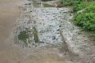 rain in raipur