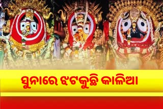 ସୁନାରେ ସଜେଇ ହୋଇଛି କାଳିଆ, ଅପୂର୍ବ ରୂପ ଦର୍ଶନରେ ବିମୋହିତ ଶ୍ରଦ୍ଧାଳୁ