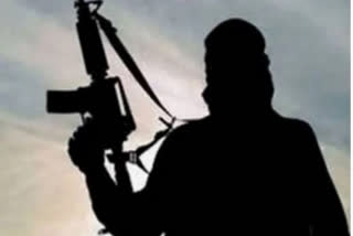 700 local youths recruited by terror groups in Jammu Kashmir in last 4 years