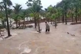 heavy rain lashes in karnataka disaster continues in many parts of state