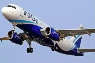 indigo airlines