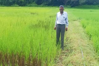 Babulal Dahiya has 200 varieties paddy
