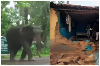 Chanda elephant team havoc in Balod
