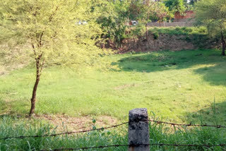 Awaiting renovation of pond of Bijwasan village in delhi