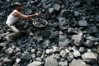 Coal India's capex rises 65% in Q1