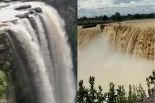 BEAUTY OF BASTAR CHITRAKOTE FALLS INCREASED IN RAIN WATER LEVEL INCREASED IN CHITRAKOT AND TIRATGARH WATER FALLS OF BASTAR MINI NIAGARA CHITRAKOT WATERFALL