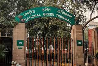 NGT takes action on encroachment near Mansa Devi temple