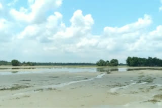nalbari-helpless-farmer-damaged-paddy-field