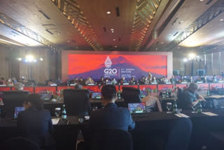 India participates in G20 Sherpa meeting in Labuan Bajo, Indonesia