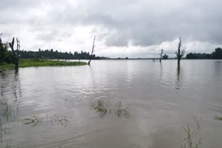 ಶಿವಮೊಗ್ಗದಲ್ಲಿ ಮಳೆ