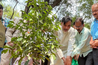 Plantation drive in Delhi started under Van Mahotsav