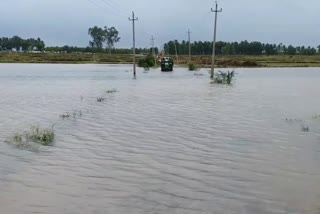 heavy rain leads to problem in davanagere