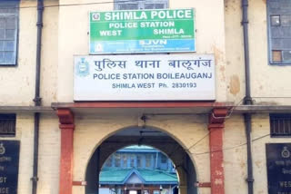 Shimla police caught Chitta from youth