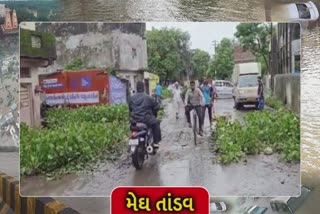 Rain in Navsari : શહેરમાં ભારે વરસાદ બાદ ગંદકીનું સામ્રાજ્ય, તંત્ર ક્યારે કરશે કામગીરી?