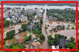 Many people died due to rain RAIN IN GUJARAT Update