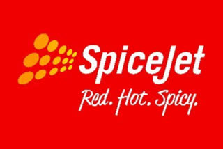 SpiceJet on complaint against Chairman