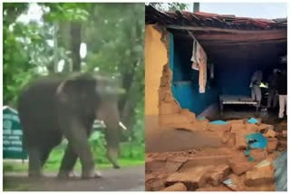 Balod Elephant Attack : ચાંદા હાથીઓના જૂથે મચાવી તબાહી, ટોળાએ એક ઘર બનાવ્યું નિશાન