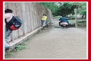 Water Logging in Ahmedabad : આવી રીતે વરસાદી પાણી પાર કરતાં વિદેશી વિદ્યાર્થીઓ