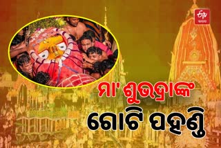 ବଡ଼ ଭାଇ ବଳଭଦ୍ରଙ୍କ ପରେ ଗୋଟି ପହଣ୍ଡିରେ ଚାନ୍ଦ ମୁହିଁ ଶୁଭଦ୍ରା