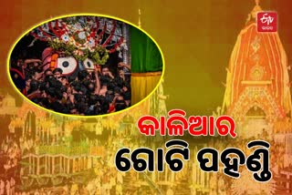 ନୀଳାଦ୍ରି ବିଜେ: ସଭା ଶେଷରେ ରତ୍ନବେଦୀକୁ ଫେରୁଛନ୍ତି ପ୍ରଭୁ ଜଗନ୍ନାଥ