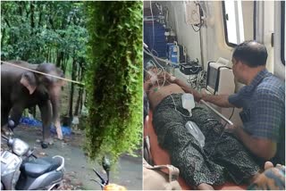 wild elephant attacked police officer in malappuram pothukallu  wild elephant attack in pothukallu  malappuram news  wild elephant  wild elephant kerala  കാട്ടാനയുടെ ആക്രമണത്തില്‍ പൊലീസുകാരന് പരിക്ക്  മലപ്പുറത്ത് കാട്ടാനയുടെ ആക്രമണം