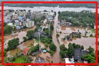 Monsoon Gujarat 2022: ગુજરાતમાં 24 કલાકમાં 14 લોકોના મોત, 40 ગામોમાં વીજળી ગુલ