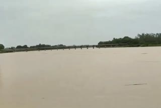 Flood in many districts of Bastar