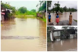 Gujarat Heavy rain
