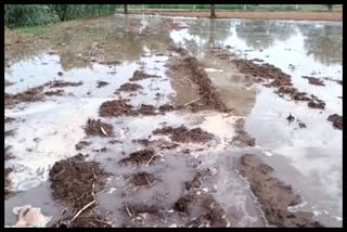 crops submerged