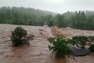 Heavy rain in Dang : ડાંગમા ભારે વરસાદને કારણે પૂર્ણા અને અંબિકા નદીઓની જળ સપાટી વધી