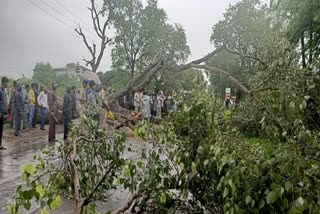 Dhamtari National Highway