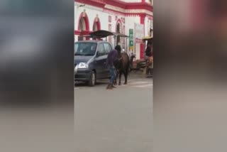 Chhattisgarh: Deranged man takes on mighty bull on streets of Jagdalpur  Man fighting with bull on road  Man fighting with bull on road viral video  viral videos  ബാഹുബലി സ്റ്റൈലില്‍ കാളയുമായി ഏറ്റുമുട്ടല്‍ വീഡിയോ വൈറല്‍  വൈറല്‍ വീഡിയോസ്  സൂപ്പർഹിറ്റ് ചിത്രമായ ബാഹുബലി  ബാഹുബലി ഭല്ലാള്‍ദേവന്‍