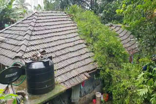 മഴയില്‍ വ്യാപക കൃഷിനാശം; മലയോര പ്രദേശങ്ങളില്‍ മഴ ശക്തം, താഴ്ന്ന പ്രദേശങ്ങളില്‍ വെള്ളം കയറി