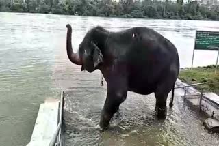 hampi-temple-elephant-bath-on-the-banks-of-tungabhadra-river