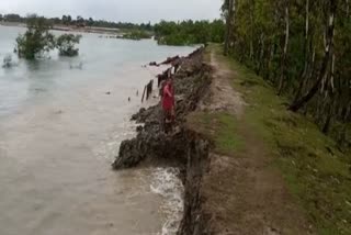 Sundarbans Flooded by River Dams